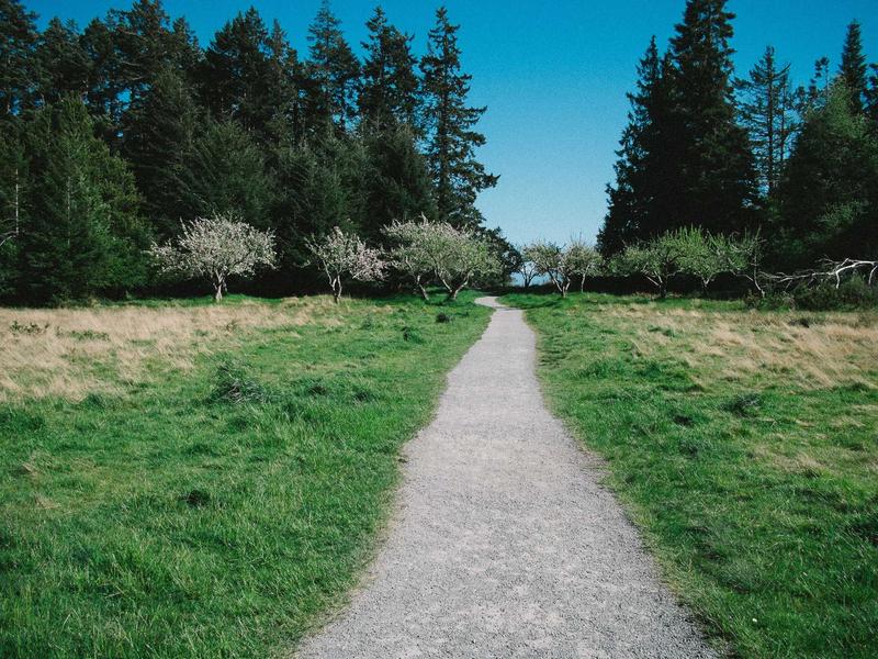 寺庙入职<br>sybmuzg.cn 扫地僧招聘启事